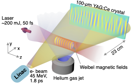 Experimental Setup for LEAP